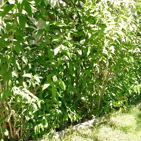 Helgas Paradise Hotel 3*