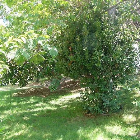 Helgas Paradise Hotel 3*