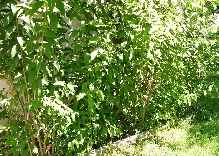 Helgas Paradise 酒店 3*